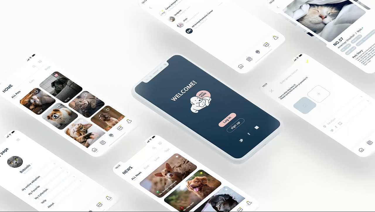毕业作品（领养动物APP界面展示影像与宣传影像）（图ZMjAzNzQ1NzQ0） - 宣传片 - 站酷设计师RUIMINYA原创素材 - 站酷ZCOOL