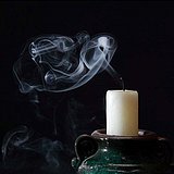 会吹灯的兔子的头像