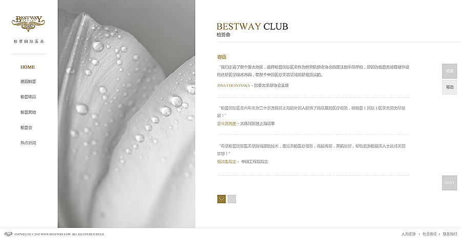 高端美容整形机构白色版（图ZMTIyOTIyNTI=） - 企业官网 - 站酷设计师Dearest0516原创素材 - 站酷ZCOOL