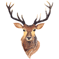 百目川的個(gè)人主頁(yè)（背景預(yù)覽） - 主頁(yè)背景設(shè)置 - 站酷設(shè)計(jì)師百目川原創(chuàng)素材 - 站酷ZCOOL