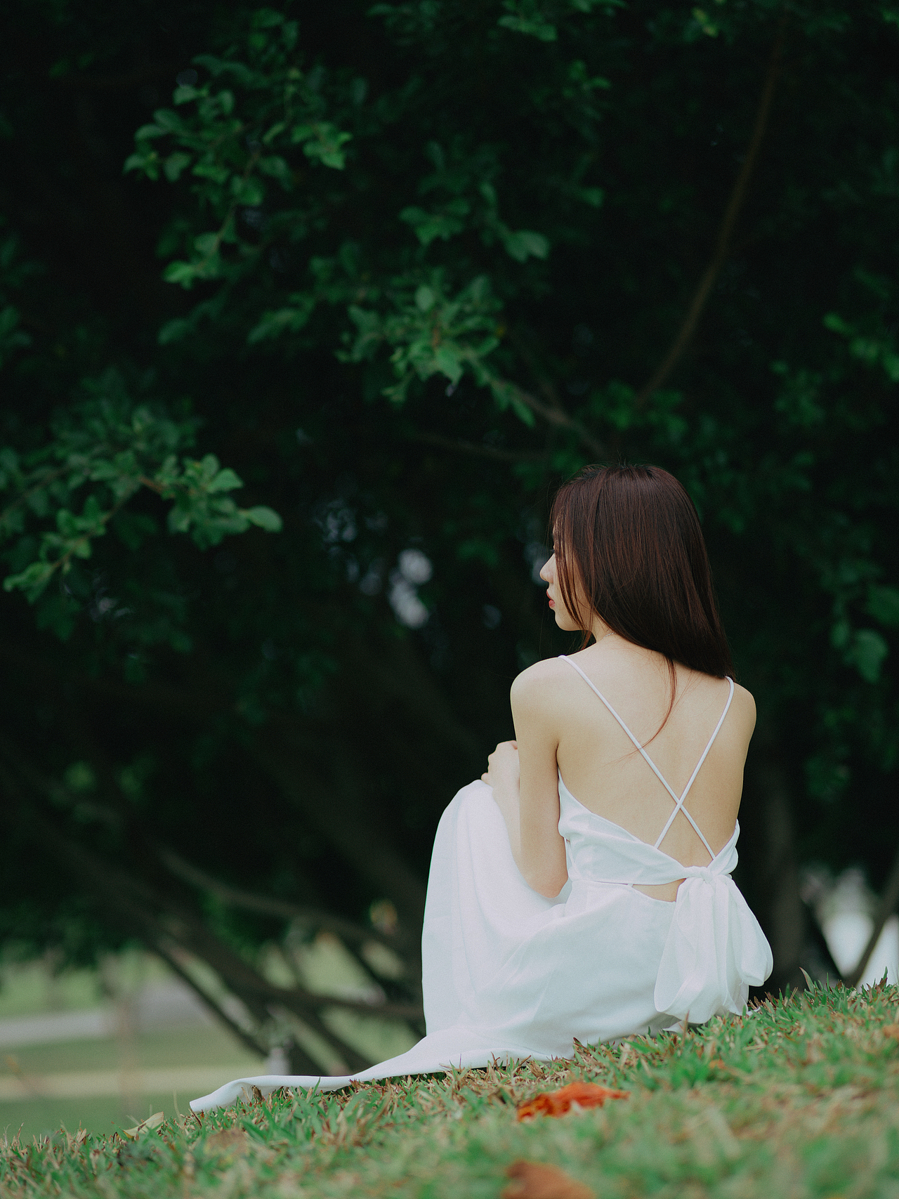 惊艳时光的温柔