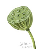 蒋蒋爱123的头像
