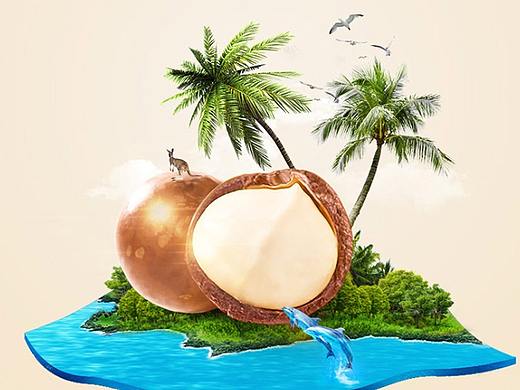 电商 夏威夷果详情页