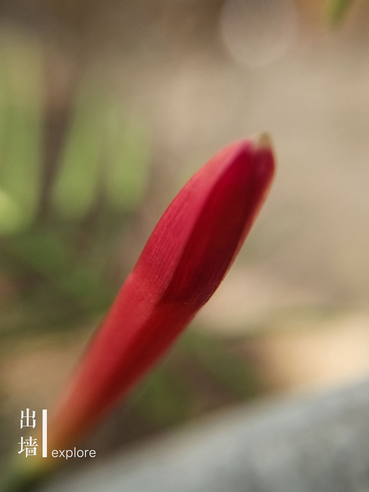 微世界——手机摄影【第一期】（图ZNTk1NzIyNDA=） - 修图/后期 - 站酷设计师tctong原创素材 - 站酷ZCOOL