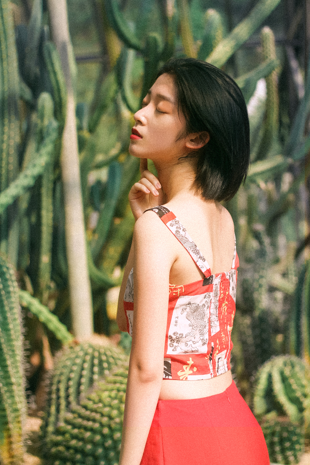 仙人掌（图ZNzg3MzY5NTY=） - 人像摄影 - 站酷设计师L猫不吃鱼原创素材 - 站酷ZCOOL