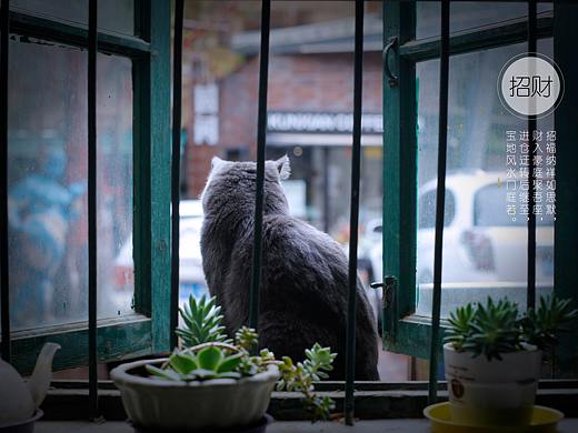 招财猫