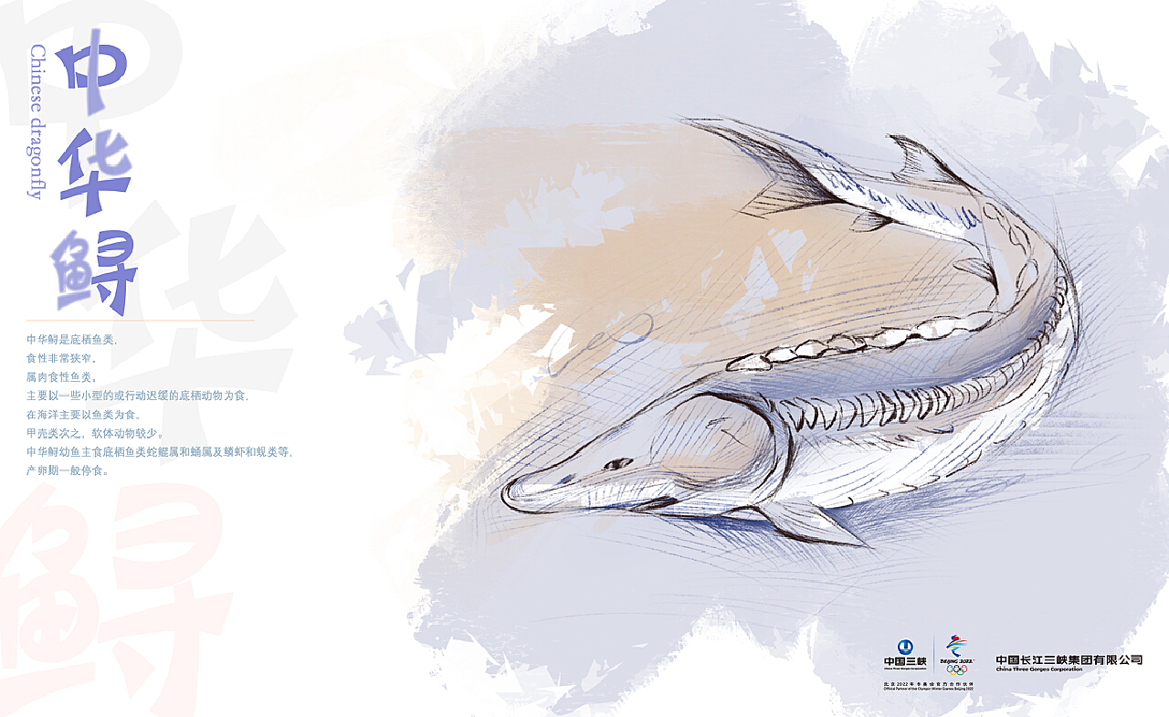 中华鲟SAVE FISH原创设计|插画|商业插画|盐小咸 - 原创作品 - 站酷 (ZCOOL)