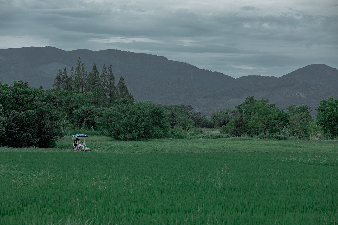 杭州·良渚·初秋