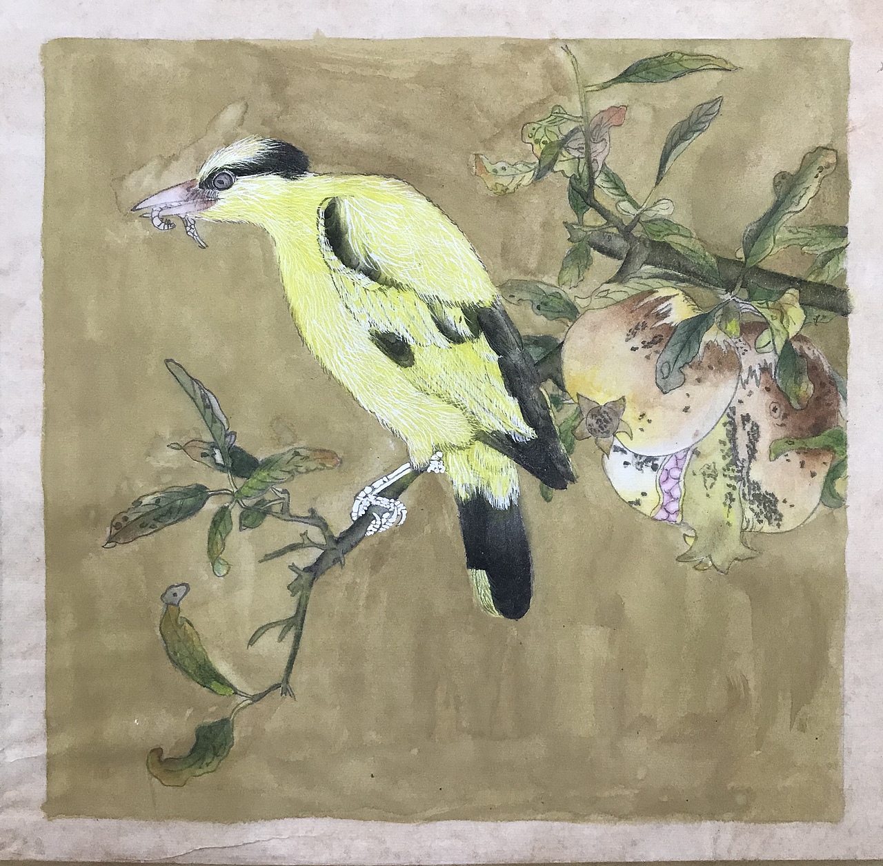 国画工笔学生作品辑（图ZMjIyNzc1OTY4） - 绘画 - 站酷设计师布谷书画馆原创素材 - 站酷ZCOOL