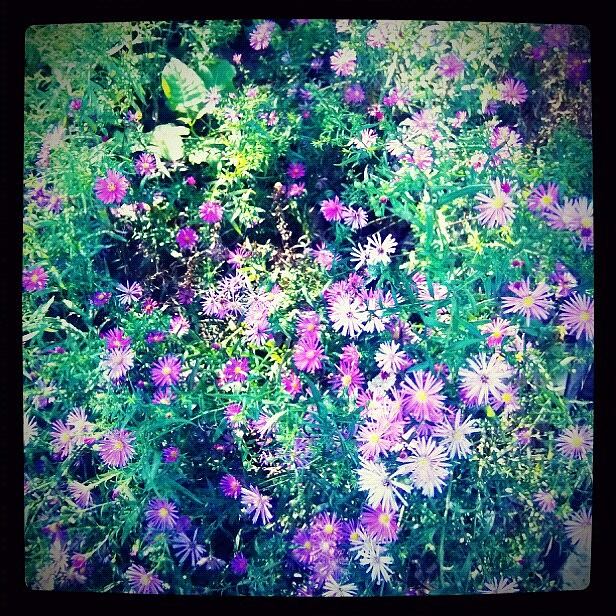 爱生活、爱手机随手拍、（图ZNzM5OTc1Mg==） - 人文/纪实摄影 - 站酷设计师Hi丶滚原创素材 - 站酷ZCOOL