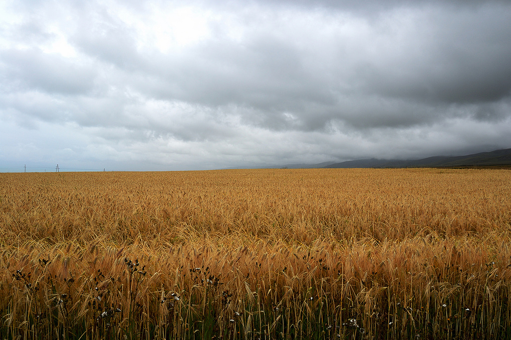 高原風(fēng)光（圖ZNDEyNjg2OA==） - 風(fēng)光攝影 - 站酷設(shè)計師reshaw原創(chuàng)素材 - 站酷ZCOOL