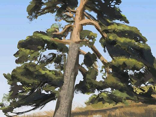 树木的绘画步骤