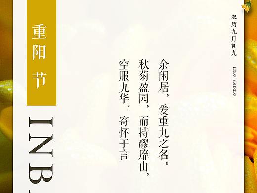 重阳  节日海报