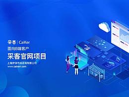采客官网项目复盘