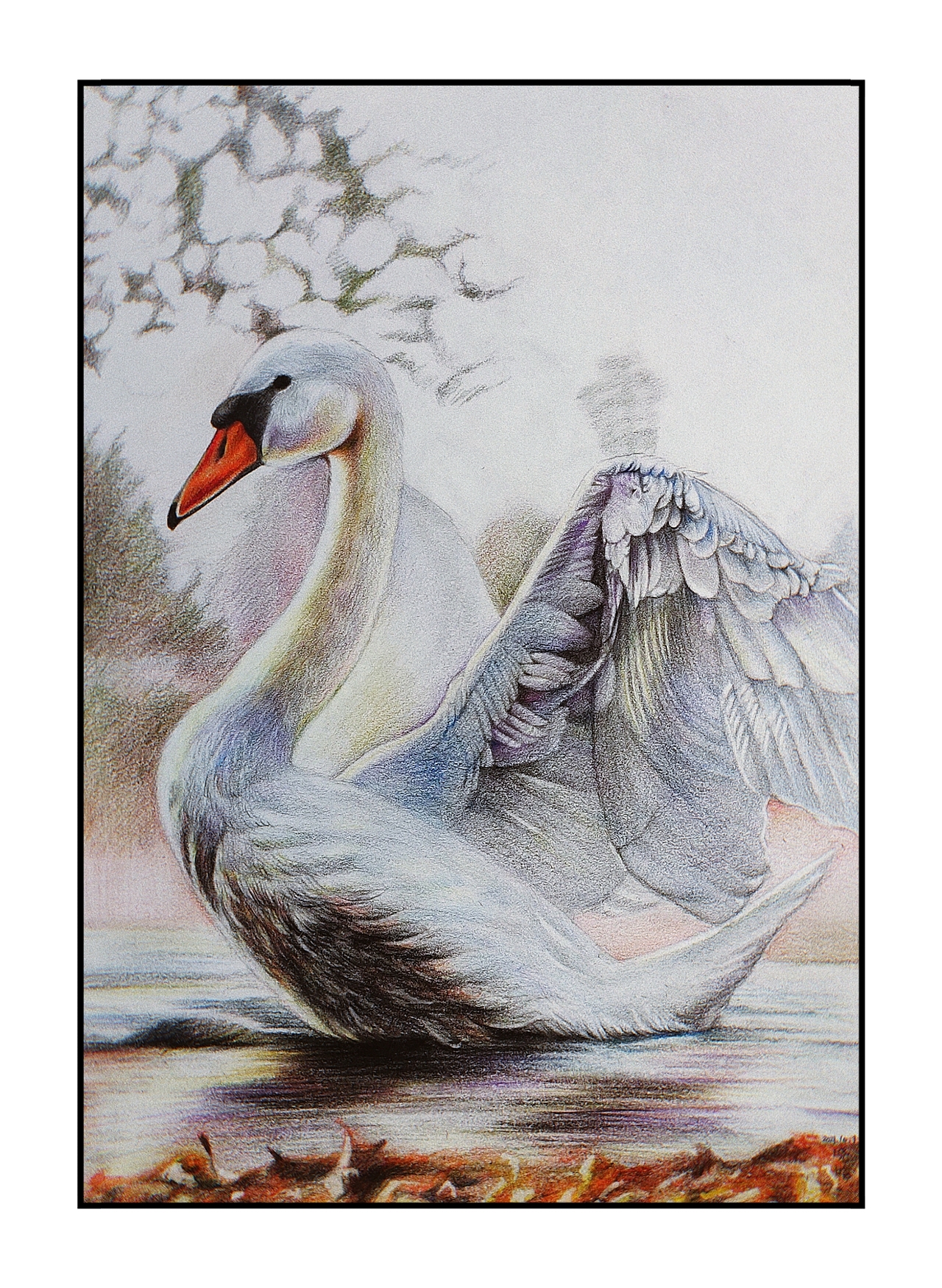 天鹅|纯艺术||寒飞羽就是晓晗_原创作品-站酷zcool