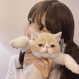 清风铃的头像