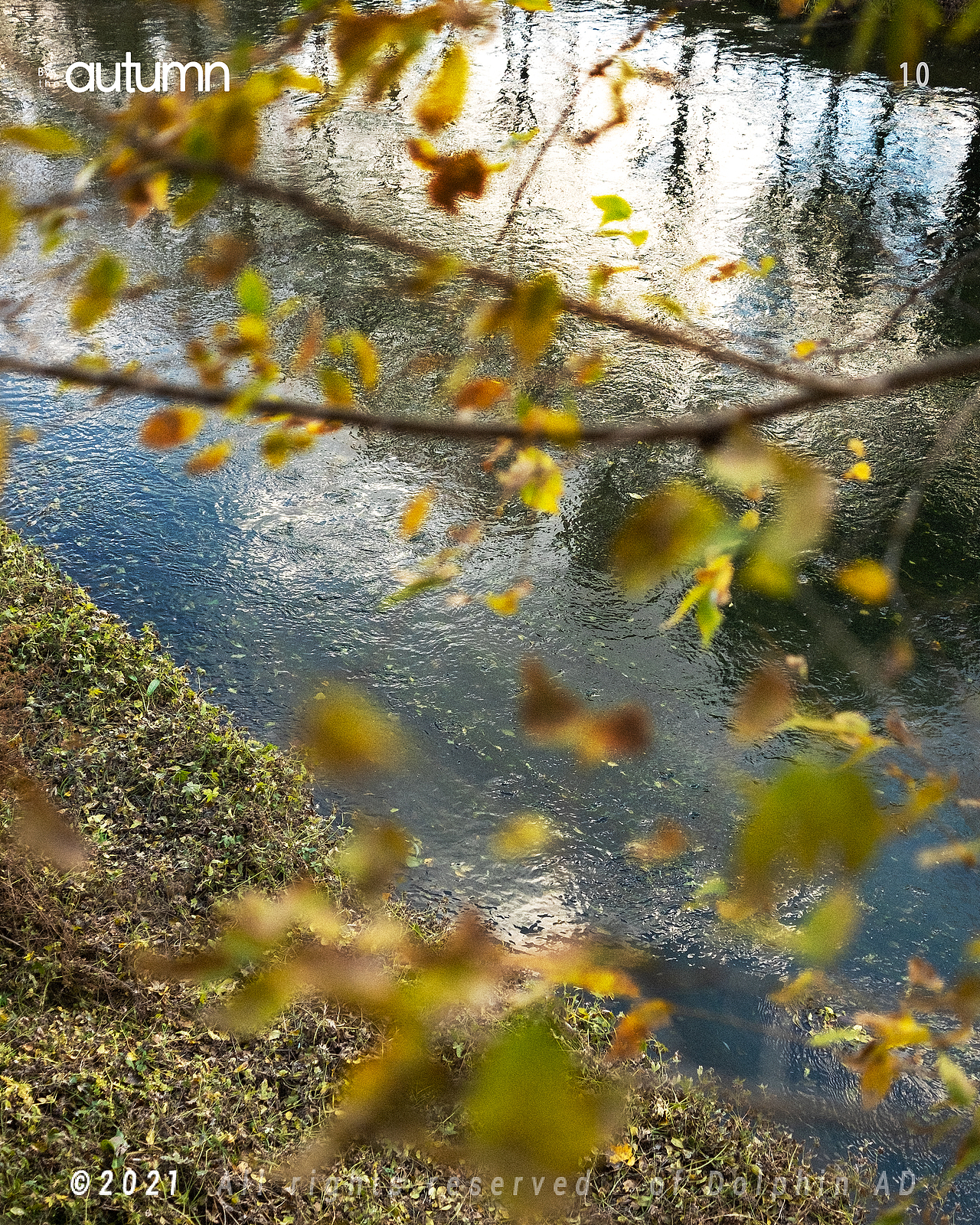 路过秋天/By the autumn（图ZMjc0MjA4MDMy） - 风光摄影 - 站酷设计师一只叫阿德的海豚原创素材 - 站酷ZCOOL