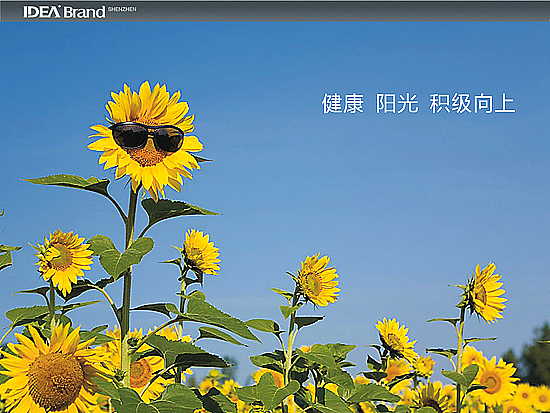 桂花小学标志/VI/字体设计-LANGXUN朗逊（图ZOTM2NDU2OA==） - 品牌 - 站酷设计师ocean007原创素材 - 站酷ZCOOL