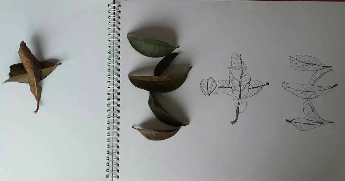 《叶 字》（图ZMzAwOTc0Njg=） - 字体/字形 - 站酷设计师花樱的故事原创素材 - 站酷ZCOOL