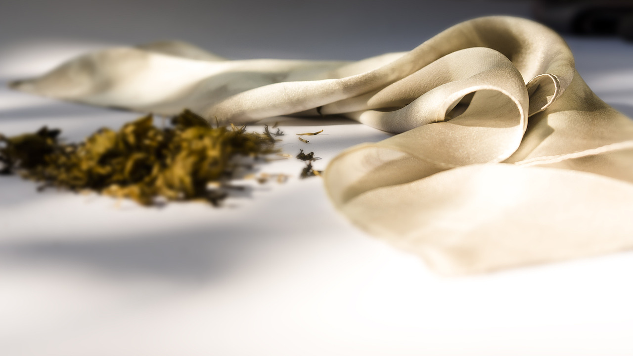 草木染-书籍装帧设计（图ZMTY0OTk4MzYw） - 书籍/画册 - 站酷设计师Hasdisappeared原创素材 - 站酷ZCOOL