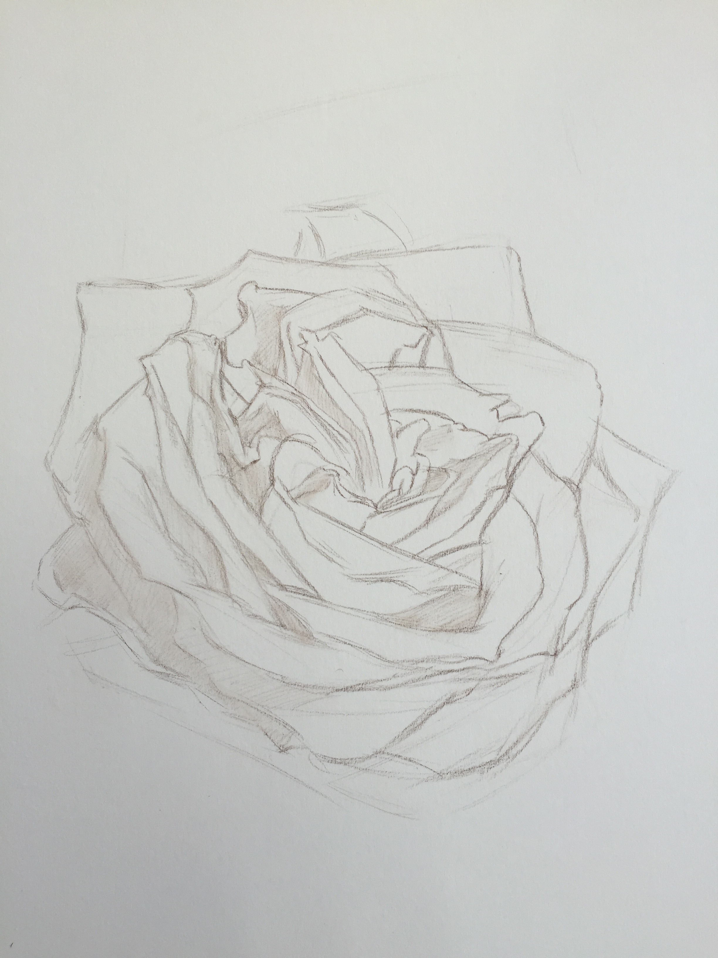 油性彩铅七彩玫瑰