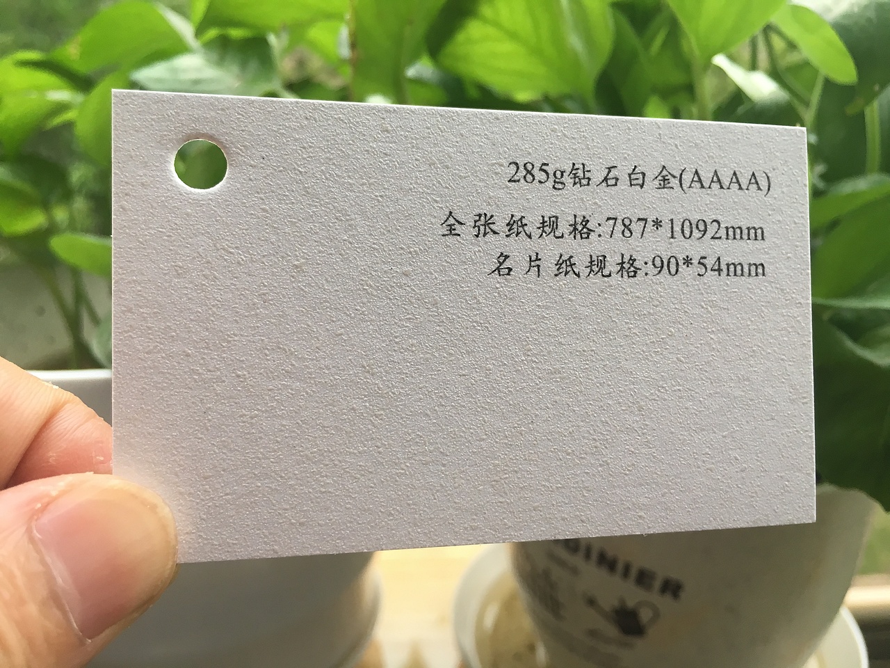 2019款特种纸艺术纸实物展示样册