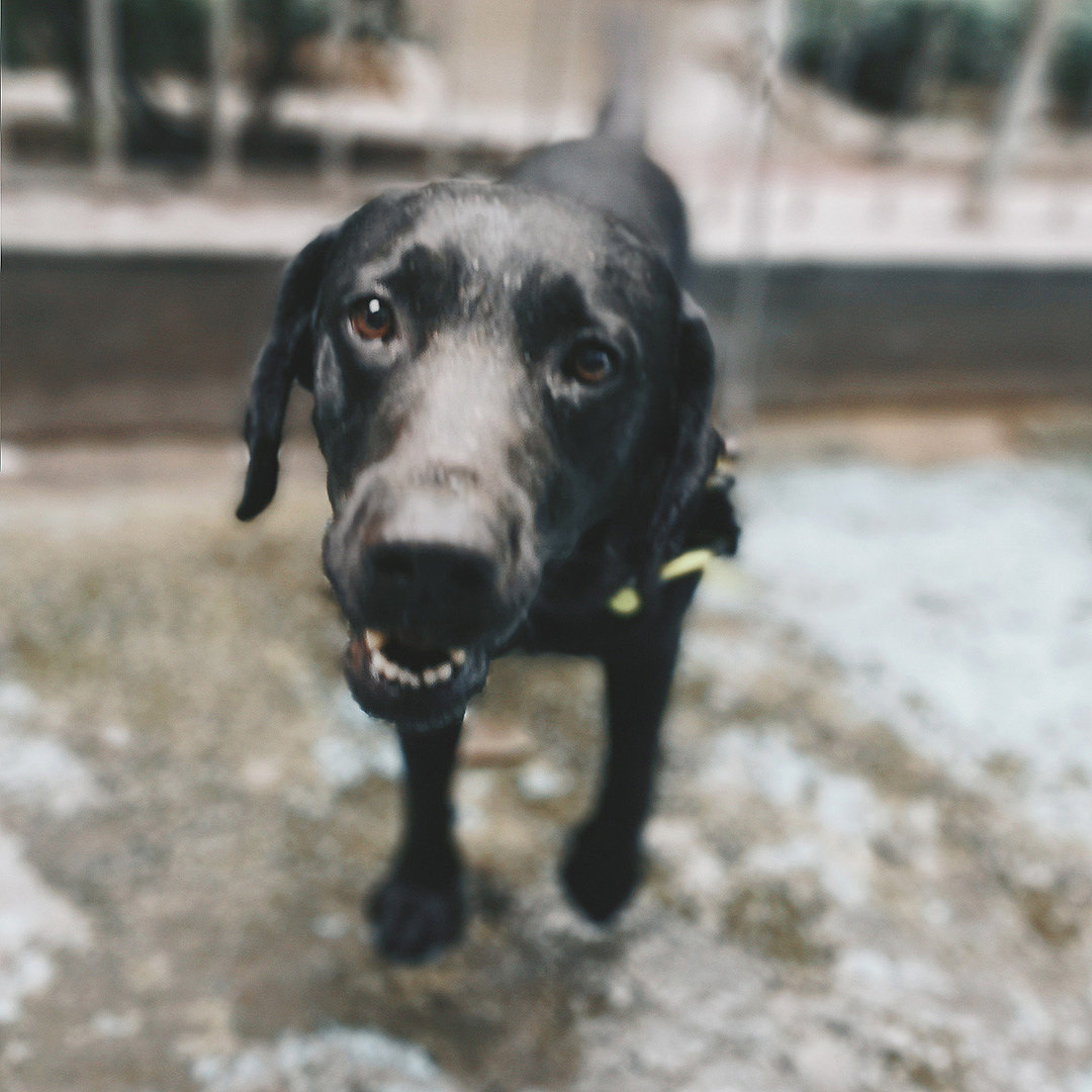 广州西村 - 那些值得记录的人和事