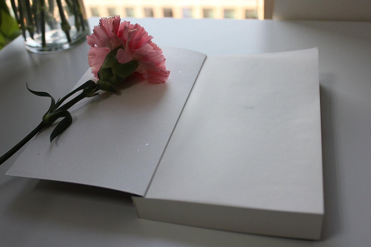 书籍设计 《心动》《案例集》