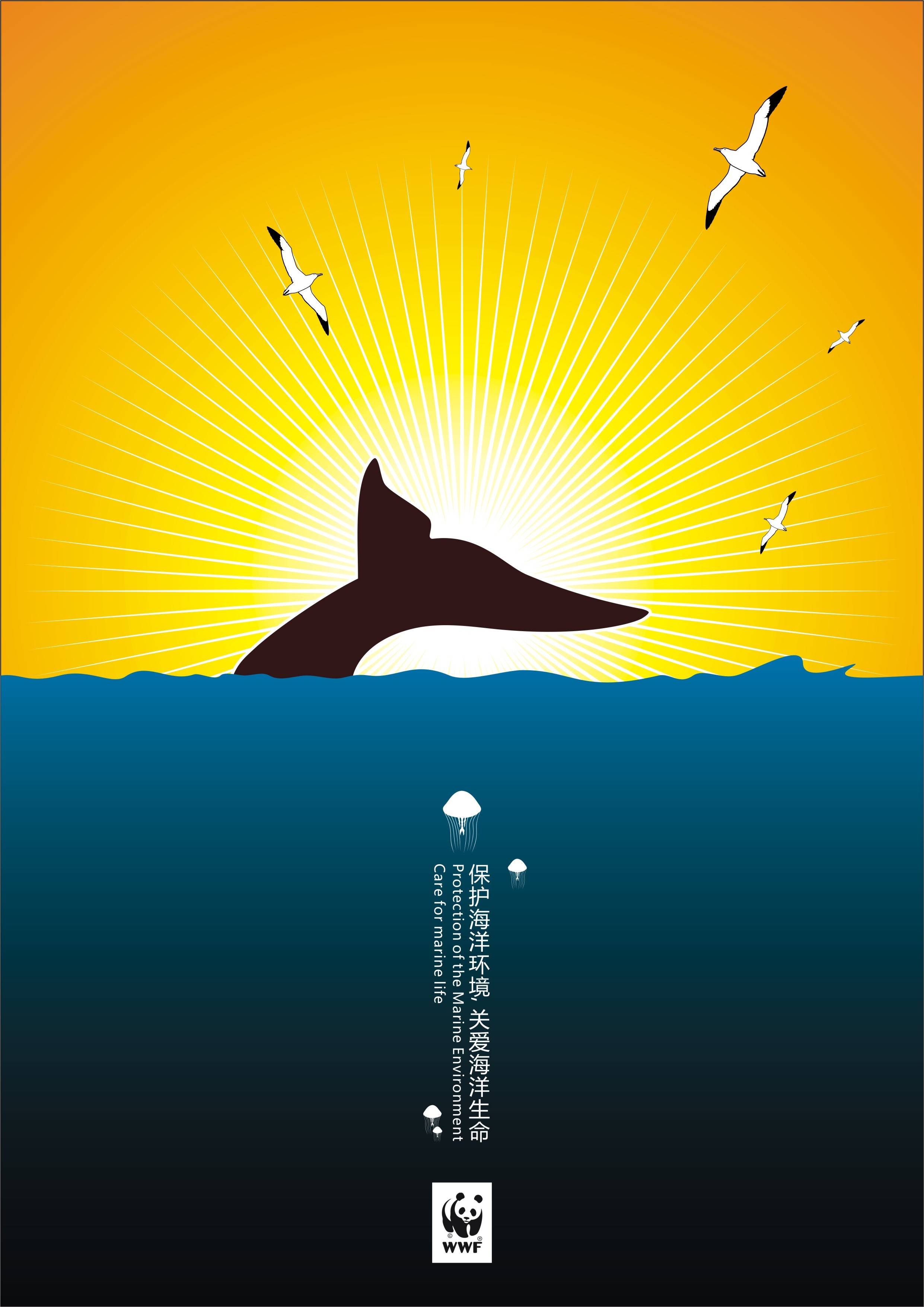 保护海洋动物|平面|海报|Julio123 - 原创作品 - 站酷 (ZCOOL)