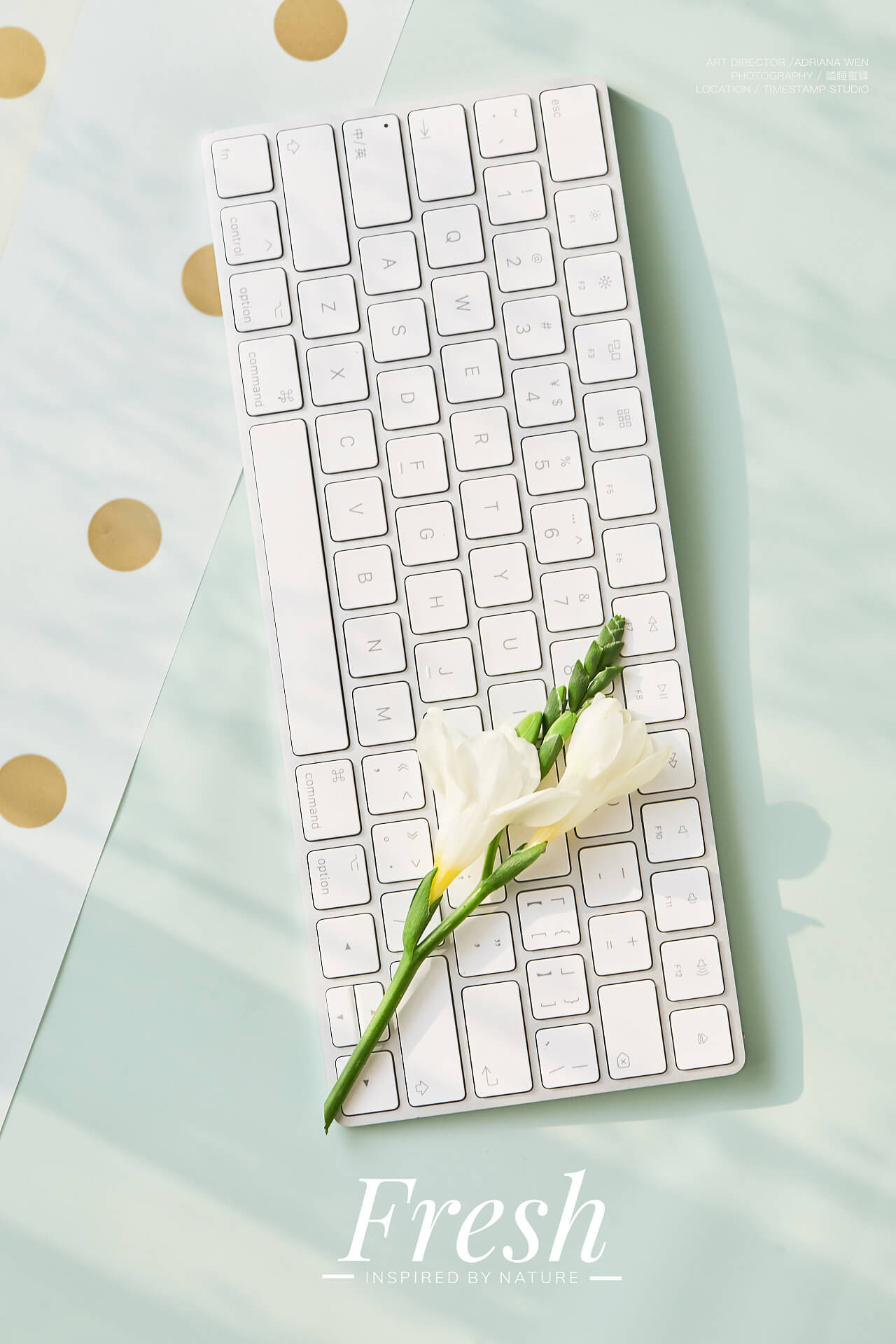 梁佳俊的個(gè)人主頁(yè)（背景預(yù)覽） - 主頁(yè)背景設(shè)置 - 站酷設(shè)計(jì)師梁佳俊原創(chuàng)素材 - 站酷ZCOOL