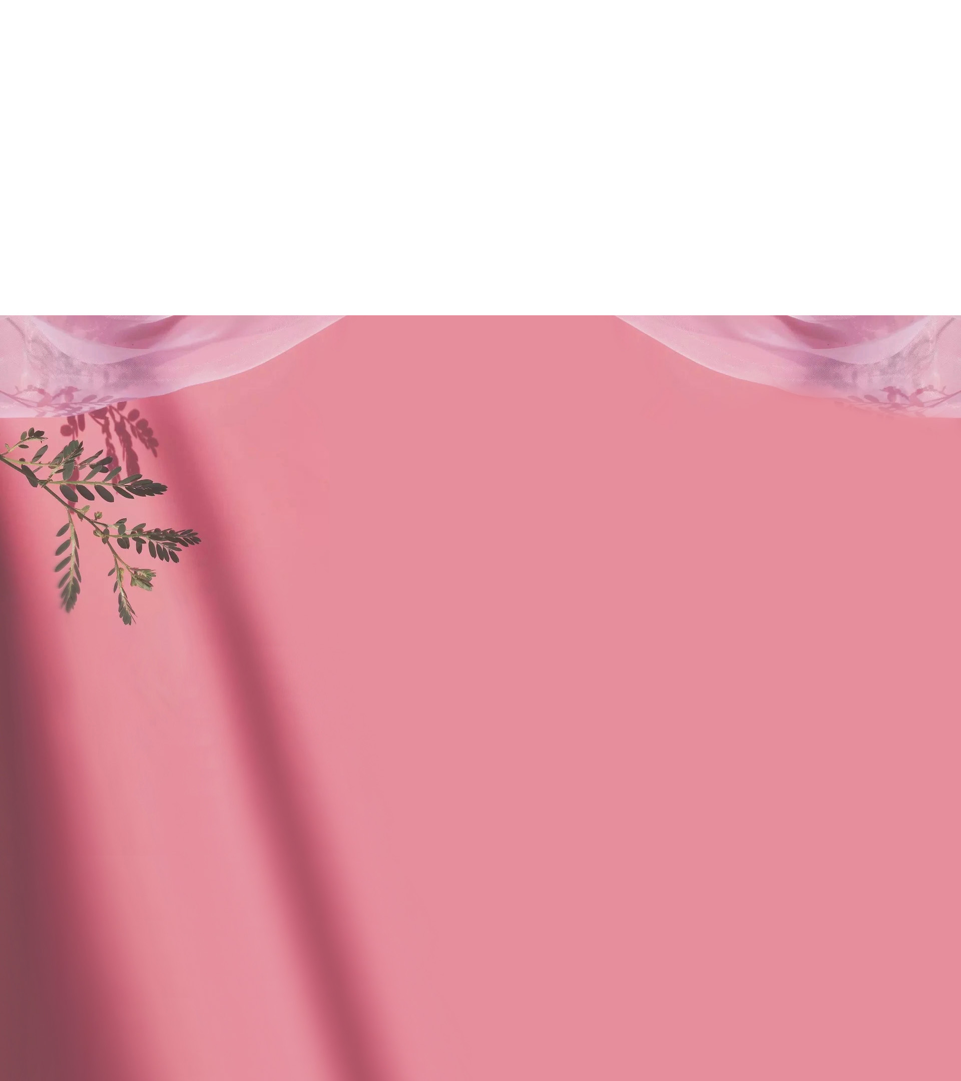 蓝莓树莓西梅的个人主页（背景预览） - 主页背景设置 - 站酷设计师蓝莓树莓西梅原创素材 - 站酷ZCOOL