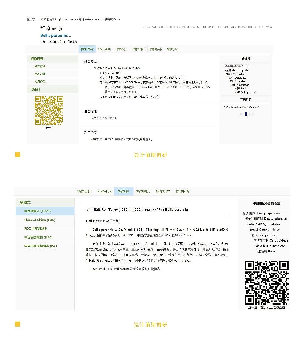 基于植物雏菊的ip形象设计