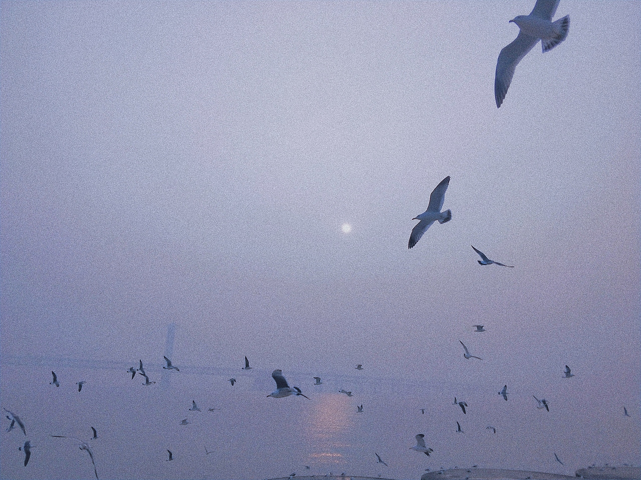 记忆里的那片海