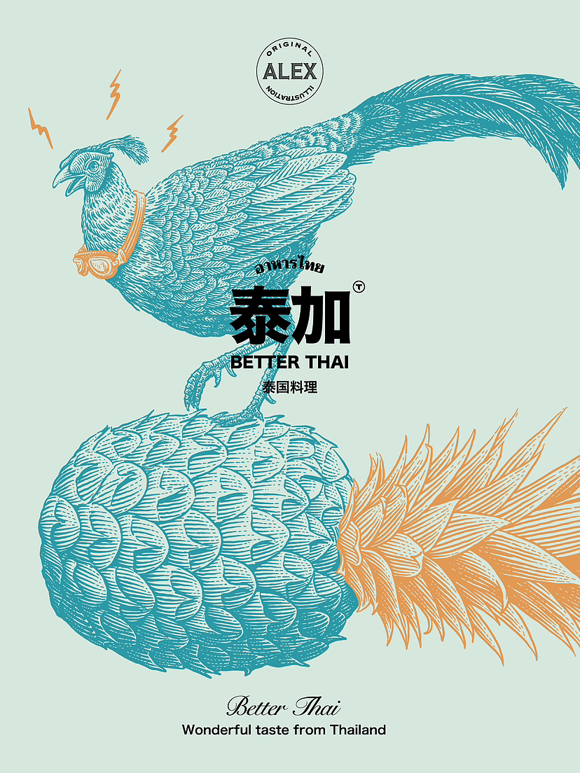 合作插画 |火背鹇（图ZMzE4Nzc2NjAw） - 商业插画 - 站酷设计师花椒的Alex原创素材 - 站酷ZCOOL