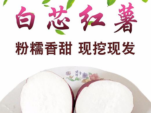 南阳唐河土特产拍照南阳淘邦摄影产品图片制作淘宝天猫