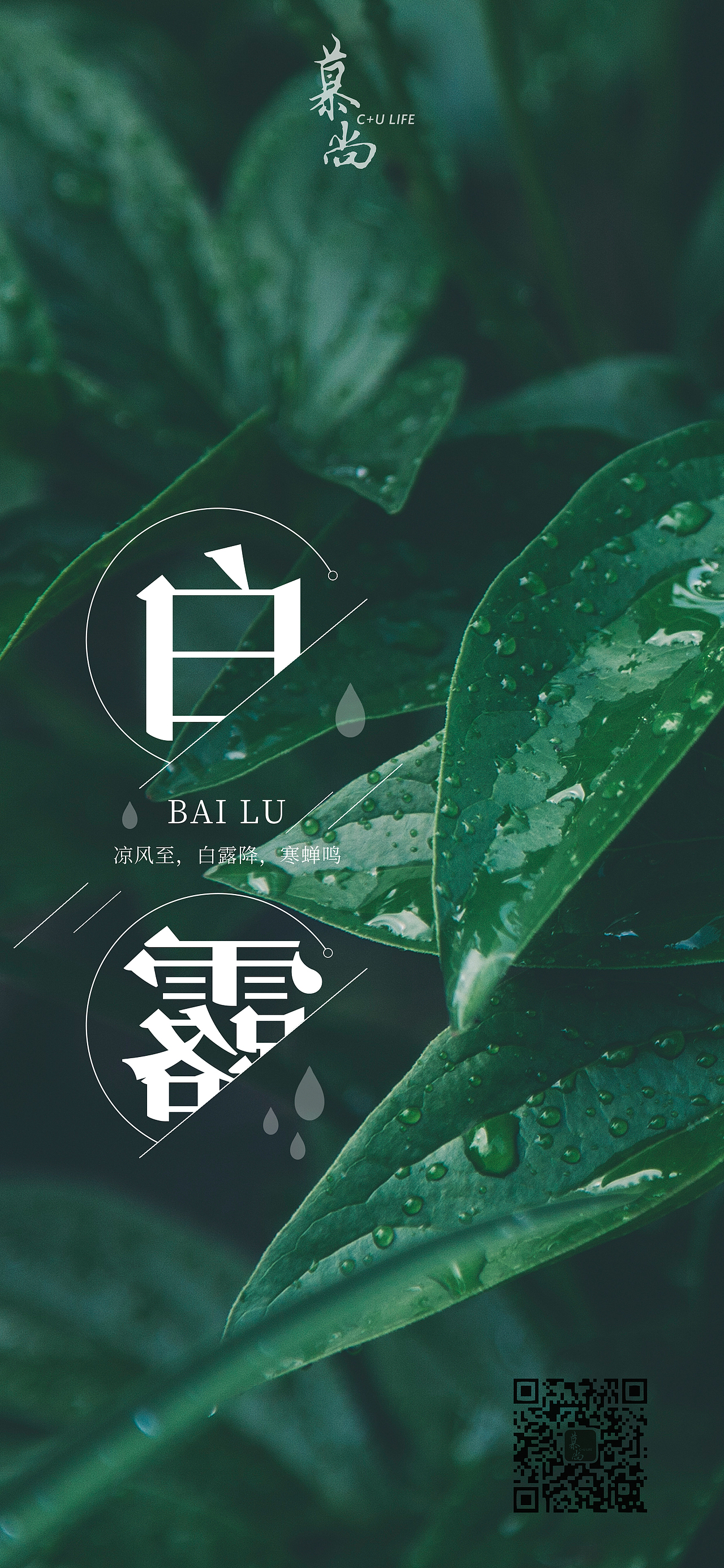 慕尚（图ZMTI4MTYxOTU2） - 海报 - 站酷设计师MCMXCIV原创素材 - 站酷ZCOOL