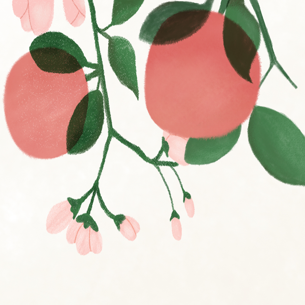 扁平插画《植物》