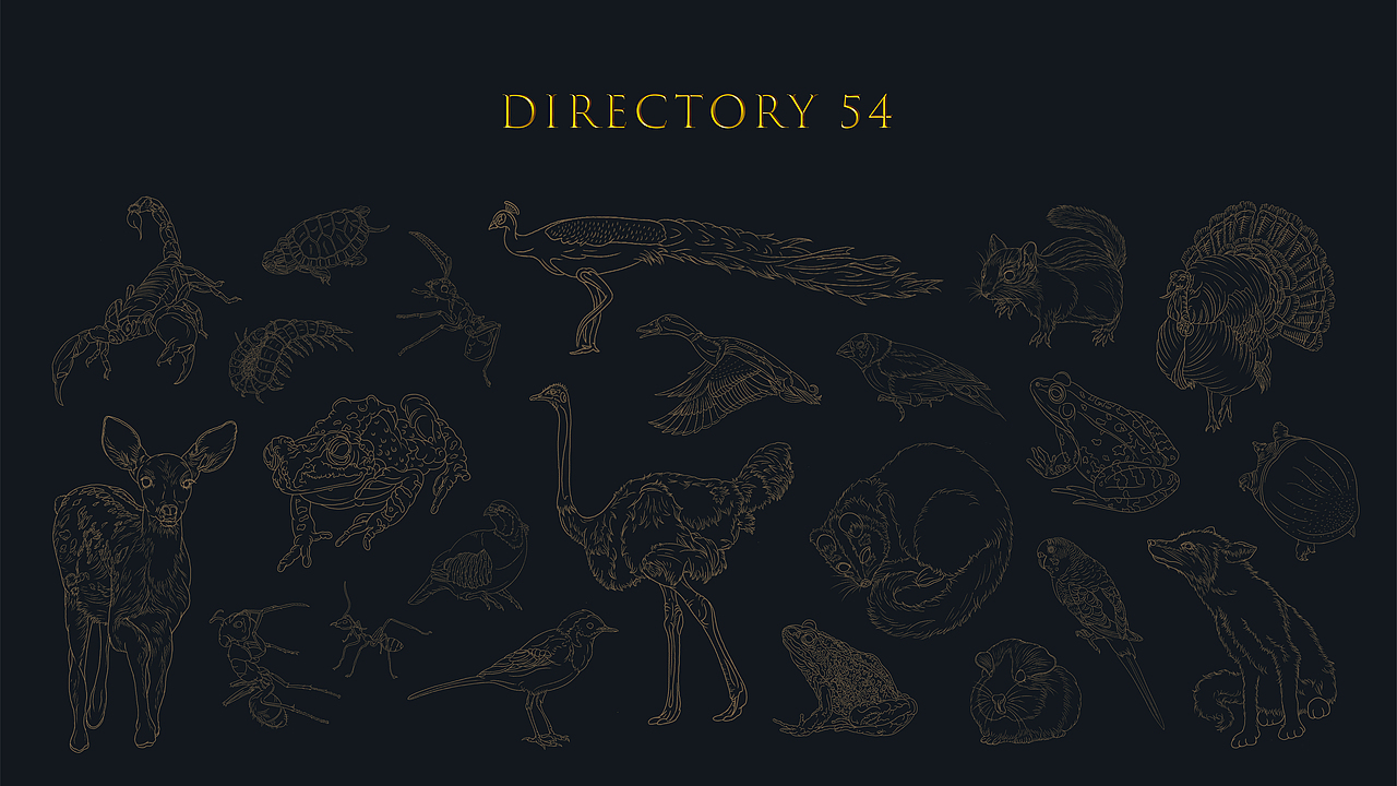 《野生保护动物名录》| 2020毕业设计