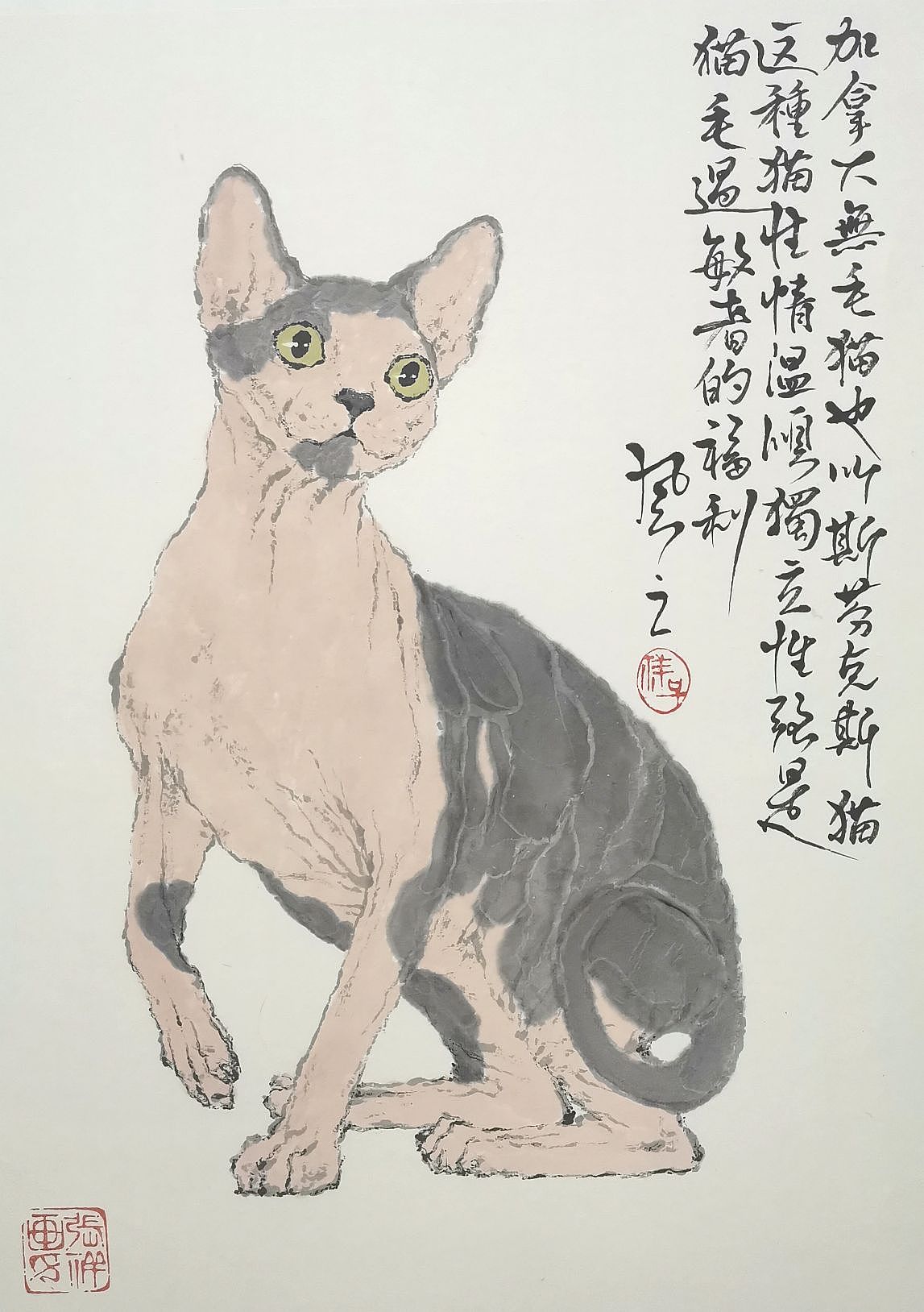 猫