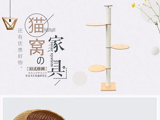宠物