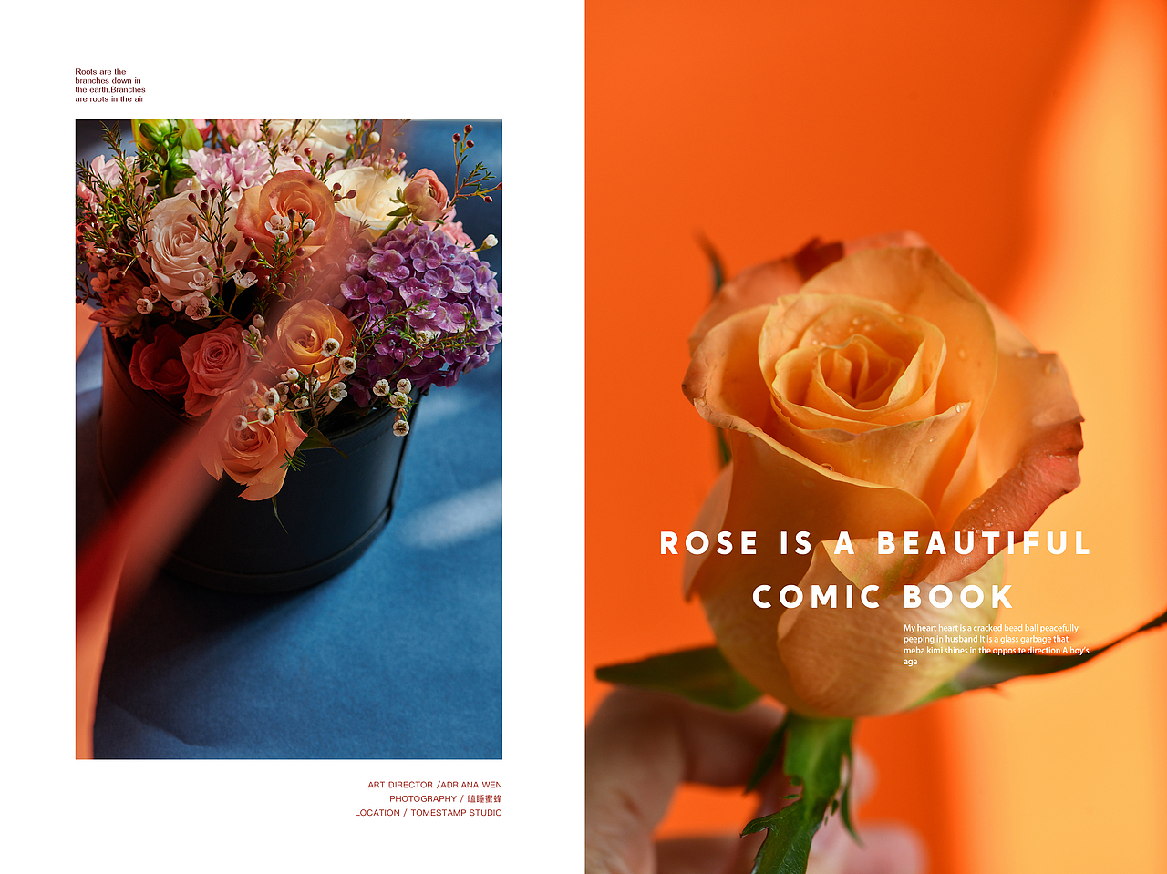 【体感上春天的到来是令人愉悦的】（图ZMTk5MjM5MTk2） - 产品摄影 - 站酷设计师瞌睡蜜蜂原创素材 - 站酷ZCOOL