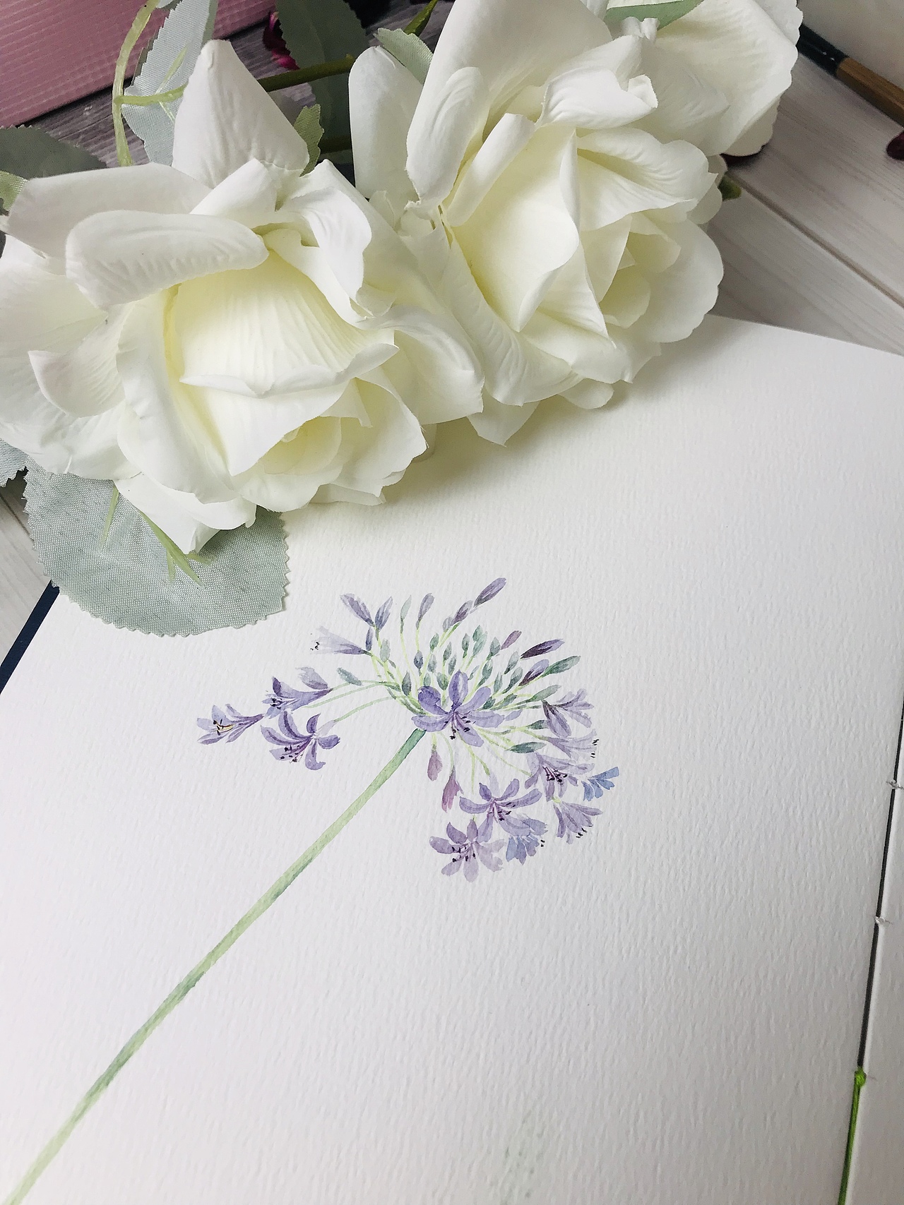 水彩花卉作品（图ZMjI0NzMyNjc2） - 绘画 - 站酷设计师闲月时光原创素材 - 站酷ZCOOL