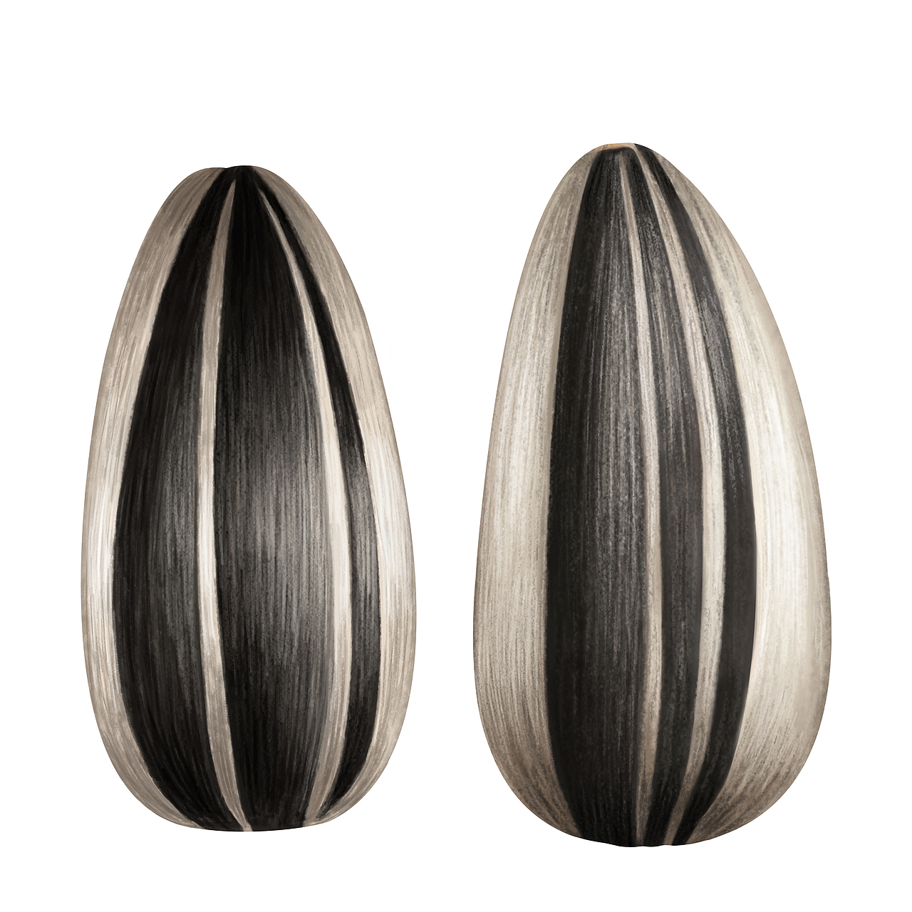 瓜子（图ZNTE5MzQ4Njg=） - 创作习作 - 站酷设计师走过绿意原创素材 - 站酷ZCOOL