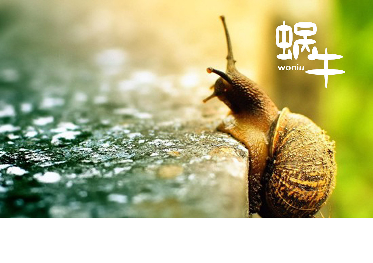 字体设计蜗牛桌面背景酷炫作业
