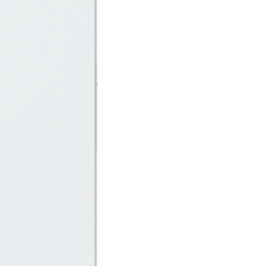 球球和他的好朋友-在吗