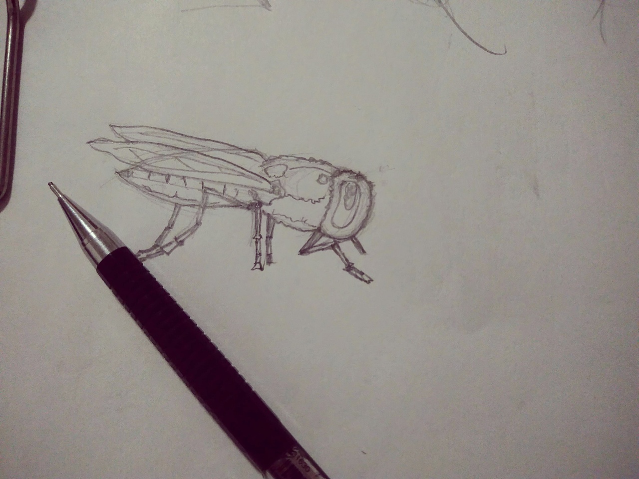 手绘练习-2016年11月（图ZNjU3MDUzNzI=） - 创作习作 - 站酷设计师危兵濒危原创素材 - 站酷ZCOOL