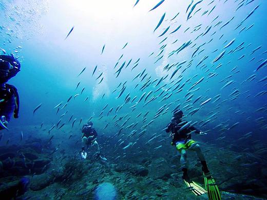 随手剪剪-我是小视频