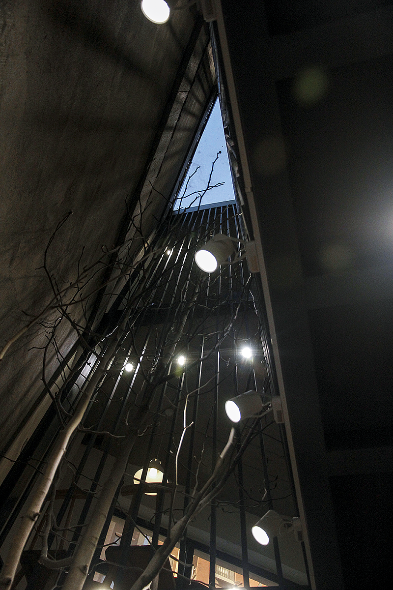 如同“山谷”的一般植物书店