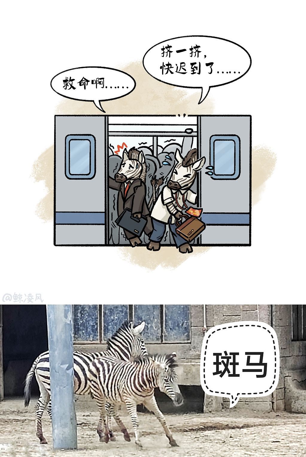 打工人日常/成都动物园一日游*