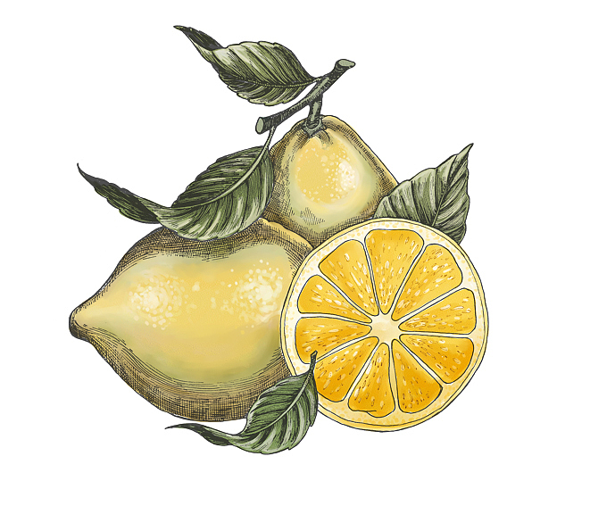 锡兰红茶包装插画